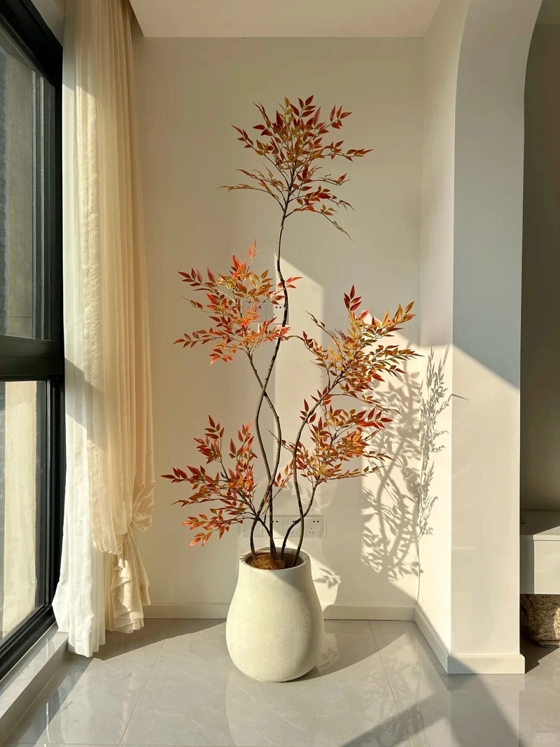 Tạo điểm nhấn cho cây cảnh phòng khách nhà phố