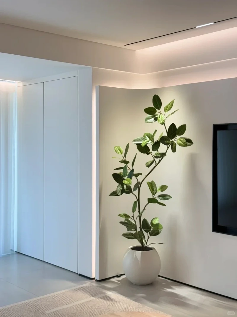 Thuận tiện và đẹp mắt cùng cây cảnh phòng khách dễ chăm sóc