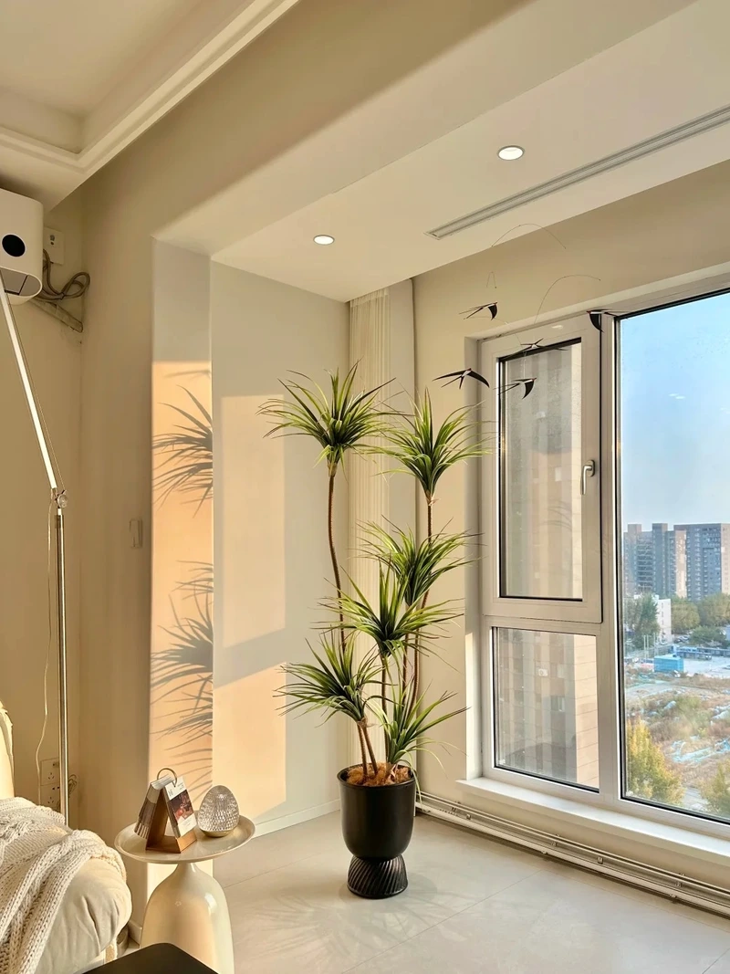 Tinh tế và nhẹ nhàng nhờ cây cảnh phòng khách phong cách bắc âu