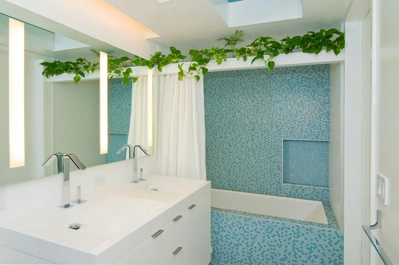 Ý tưởng trồng cây trong nhà tắm đầy cảm hứng