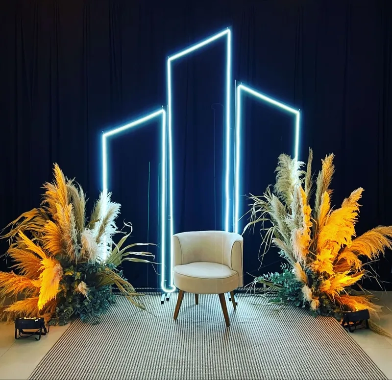 Xem ảnh đèn led dây ngoài trời cho sân vườn lung linh