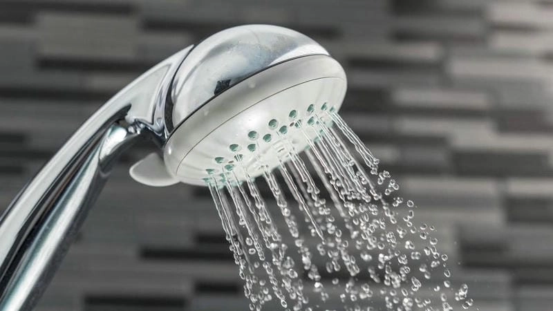 Sen tắm cây bền đẹp sử dụng ổn định lâu dài