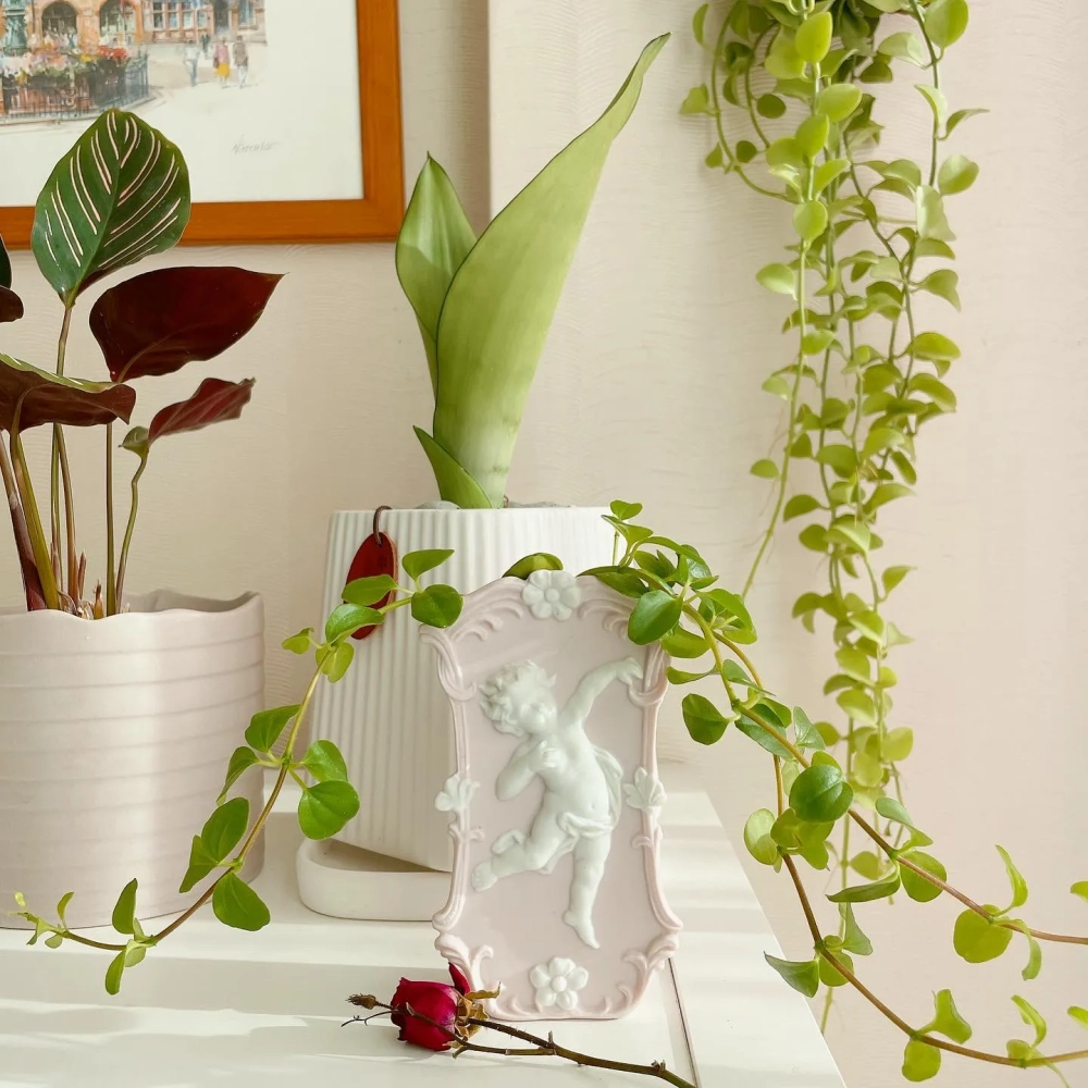 Cây lưỡi hổ decor viền vàng mang lại may mắn cho gia chủ