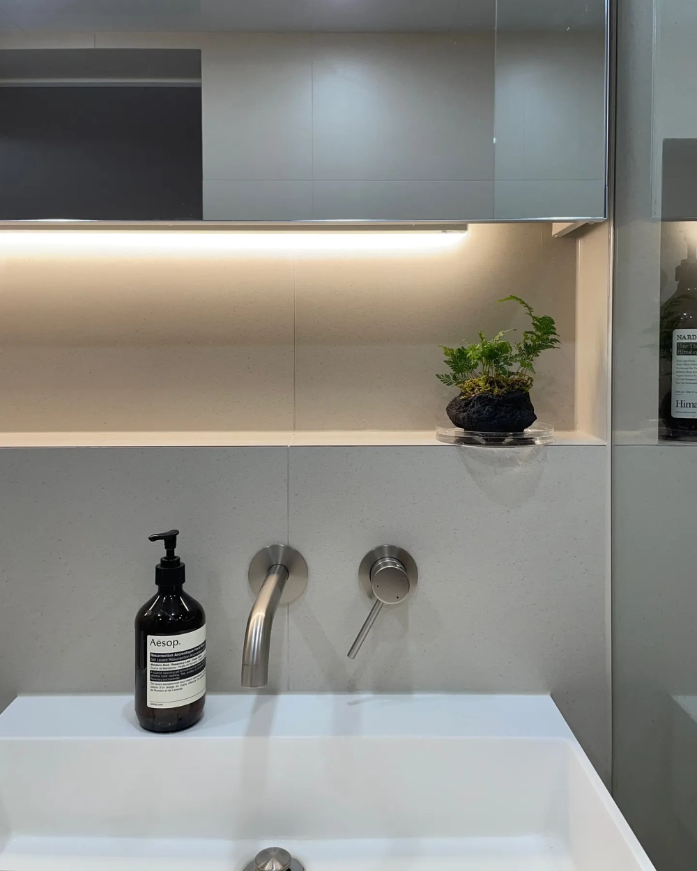 Chậu cây dương xỉ mini trang trí khu vực bồn rửa hiện đại