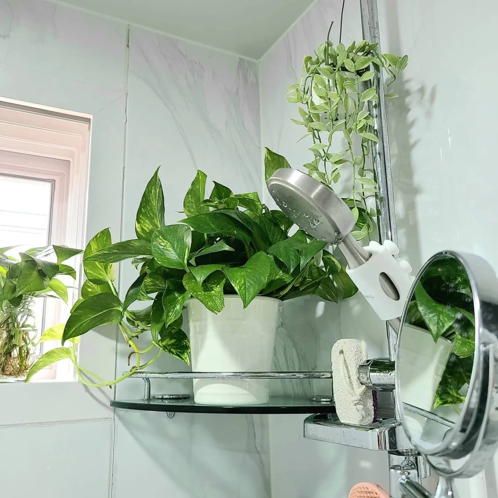 Cây thủy sinh trong lọ thủy tinh đặt cạnh nến thơm nhà tắm