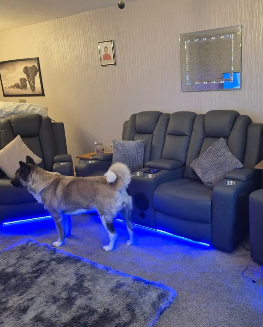 Cách sắp xếp sofa thông minh hài hòa với thảm và bàn trà